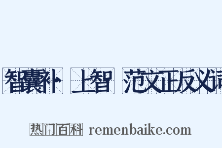 智囊补·上智·范文正反义词是什么意思的图片